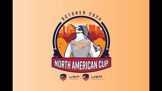 Final  Div 1 Womens Saber  Lu v Delsoin  October NAC  Atlantic City NJ  2024 [upl. by Eshelman]