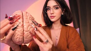 ASMR Brain Melting Triggers to Help You Sleep [upl. by Ortiz]