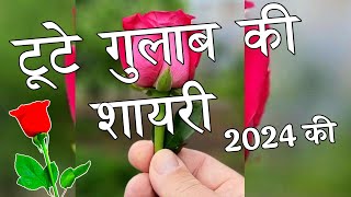 टूटे गुलाब की शायरी 2024 🌹Tute Gulab Ki Shayari 🌹 Gulab Shayari [upl. by Mahtal]