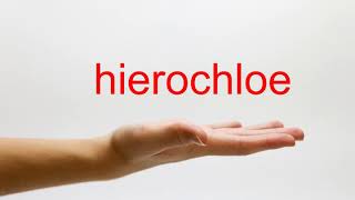 How to Pronounce hierochloe  American English [upl. by Rokach930]