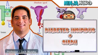 Diabetes Insipidus and SIADH  Clinical Medicine [upl. by Euqinommod]