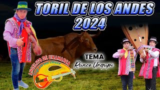 TORIL 2024 ANGELITO de UMAMARCA  Runco Urqupi  Encanto de Vilcashuamán amp Angelito 🎵🎻 [upl. by Sikes]