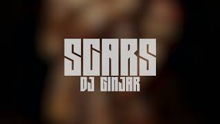 DJ GinJar  Scars [upl. by Armillas632]