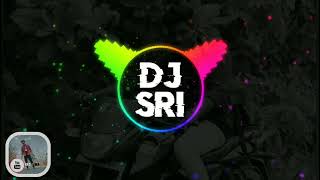 Reddy gari ammai song  Afroz Ali  Aishwarya reddy new dj songdj sri [upl. by Lishe]