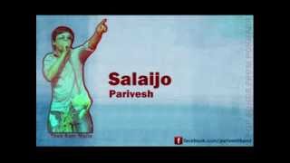 Salaijo Pahadi Thito  Nepali FolkPop Song  Parivesh  Tilak Bam Malla [upl. by Osnofledi770]