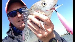 Spotted grunter on topwater lure in Swartkops River [upl. by Fairlie]