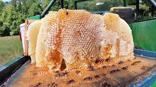 80 Pounds of Liquid GOLD  Honey Harvest 2024 [upl. by Venable344]