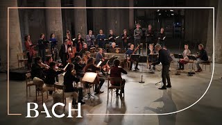 Bach  Cantata Es ist dir gesagt Mensch was gut ist BWV 45  Rademann  Netherlands Bach Society [upl. by Risteau]