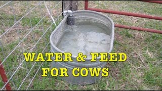 Water System Hay Feeder amp Supplements for Cows [upl. by Greta]