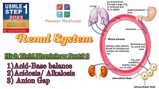 AcidBase Balance Acidosis Alkalosis Anion Gap from First AID step 1 Physio part 9 HindiUrdu [upl. by Satterfield52]