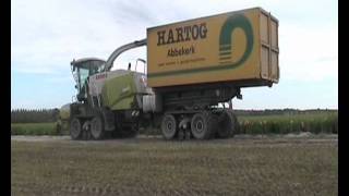 CLAAS JAGUAR 960 TERRA TRAC avec bras ampiroll [upl. by Tansey]