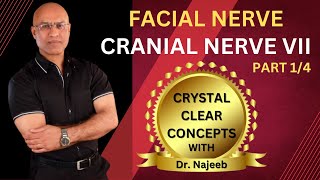 Facial Nerve  Neuroanatomy  Part 14 [upl. by Nortna]