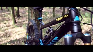 Canyon Torque FRX 80 2013 [upl. by Joline]