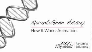 QuantiGene 20 How it Works  Animation [upl. by Neellok]