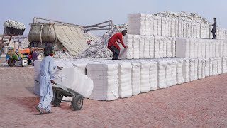 Genius Way They Mass Produce Giant Cotton Bales in Factory [upl. by Odinevneib]