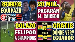 URGENTE HASTA 20 MILLONES PEDIRÁN POR MOISES CAICEDO  EL MEJOR GOLAZO FELIPAO CHAMPIOS LEAGUE [upl. by Remle807]