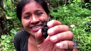 COMO ES LA MADRE DEL CHONTACURO EL PROCESO DEL CHONTACURO ENVUELTO EN UN CAPUYO EN LA TIERRA [upl. by Ibed967]