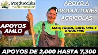 Apoyos para el campo AMLO ¿Eres productor de estos cultivos Maíz frijol café miel y muchos mas [upl. by Buehrer]