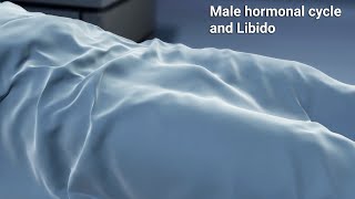 Male Hormonal Cycle amp LibidoLike womenmen experience hormonal shifts affecting their sexual desire [upl. by Refinney]