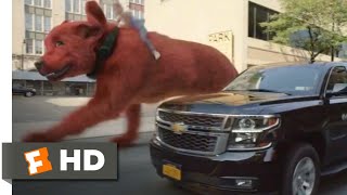 Clifford the Big Red Dog 2021  Cliffords Car Chase Scene 910  Movieclips [upl. by Berkie]