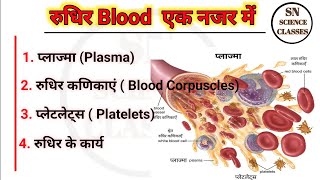 Human Blood  RBCs  WBCs  Platelets  Plasma in Hindi [upl. by Natfa]