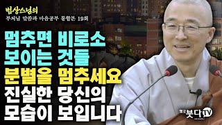 멈추면 비로소 보이는 것들 분별을 멈추세요 진실한 당신의 모습이 보입니다  법상스님의 행복한 마음공부 부처님 말씀과 마음공부 통합본 19회 [upl. by Yur]