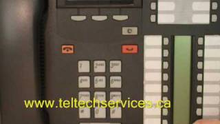 Nortel Phones  Button ID [upl. by Garihc]