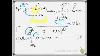 Synthesis of Acetamide from Acetic Anhydride RXN Mechanism [upl. by Landon]