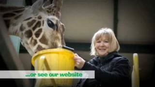 Howletts and Port Lympne Wild Animal Parks Kent [upl. by Vins866]