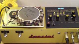 Analog Delay Binson Echorec 2  Special Made Effect [upl. by Anila926]