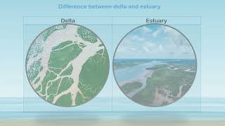 Difference between delta and estuary [upl. by Ybbob]