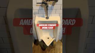 American Standard Toilet Flush  Dog Haus Alhambra California USA  Desensitization Training [upl. by Marc]