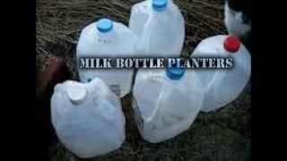 Milk Bottle Planters  Vegetable Planters Made Easy [upl. by Niltiak]