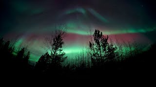 Aurora Borealis in the Yukon Oct 8 2024 [upl. by Saber]