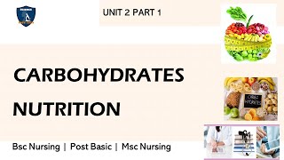 carbohydrates bsc nursing 1st year biochemistry  introduction digestion and absorption [upl. by Sllew]