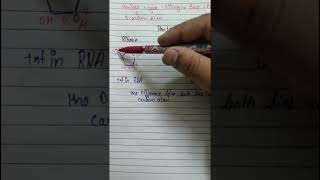 Nucleotide and structure of pentose sugarBiomoleculesclass 11shubham Gupta neet [upl. by Tezile]