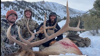 “Rubies Repeat” A 2023 Nevada Depredation Bull Elk Hunt [upl. by Hildick606]