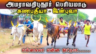 1பெரியமாடு  அமராவதிபுதூர் பந்தயம் 07032023 [upl. by Kimberlee]