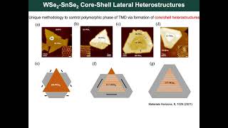 Semiconductor to Topological Insulator Transition in Transition Metal Dichalcogenides Core Shell L [upl. by Remus753]