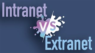 Intranet vs Extranet [upl. by Ferren]