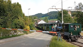 Bahnübergang Bäretswil CH  Swiss Railroad Crossing [upl. by Maximo782]