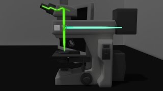 Fluorescence Microscopy Animation [upl. by Dixon]