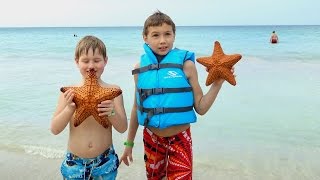 Look A Real Starfish Смотри Настоящая морская звезда [upl. by Anma]