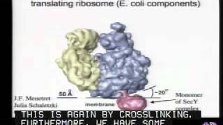 Mechanisms of Protein Translocation Across Membranes [upl. by Dodds]