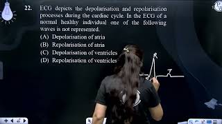 ECG depicts the depolarisation and repolarisation processes during the cardiac cycle In the ECG [upl. by Kela]