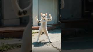 Funny cat dance🤣🤣cat catdance catvideos youtubeshorts shorts shortsfeed yellowcat funny [upl. by Aihtekal]