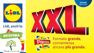 VOLANTINO LIDL dal 13 al 19 maggio 2024 anteprima [upl. by Lieno391]