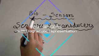 Bio Sensor explanation with Diagramatic representation [upl. by Anibor]