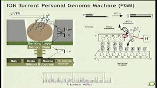 NextGeneration Sequencing Technologies  Elaine Mardis 2012 [upl. by Boylan]