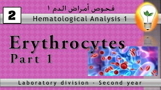 Hematology 2 Erythrocytes part 1 كرات الدم الحمراء [upl. by Kindig658]